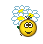 kwiaty :kwiaty: